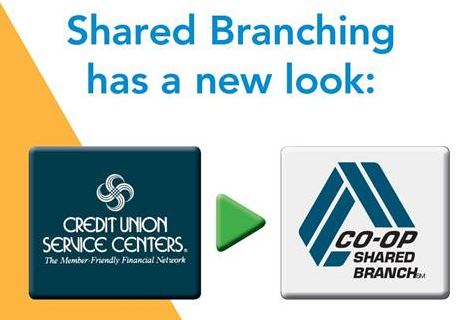 Shared Branching Logos